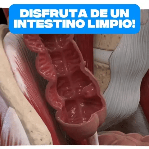 15 Days Cleanse | Libérate de la Hinchazón