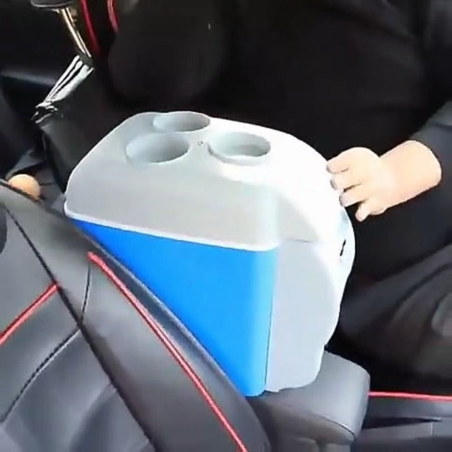 Mini Refrigerador + Bolso Plegable Multiusos GRATIS